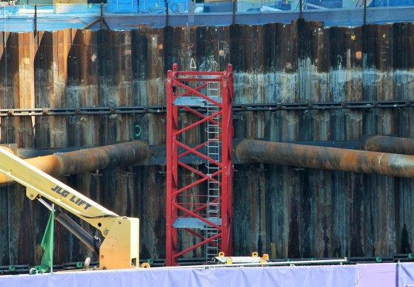 Louis A. Simpson and Kimberly K. Querrey Institute for BioNanotechnology in Medicine