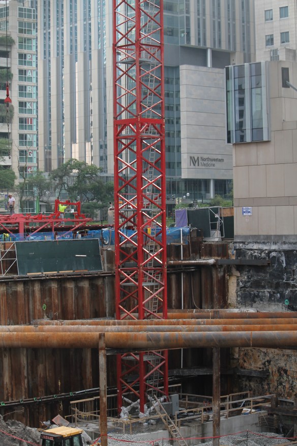 Louis A. Simpson and Kimberly K. Querrey Institute for BioNanotechnology in Medicine