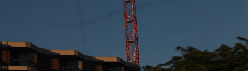 Atrium Village tower crane