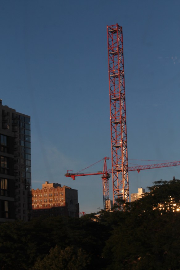 Atrium Village tower crane