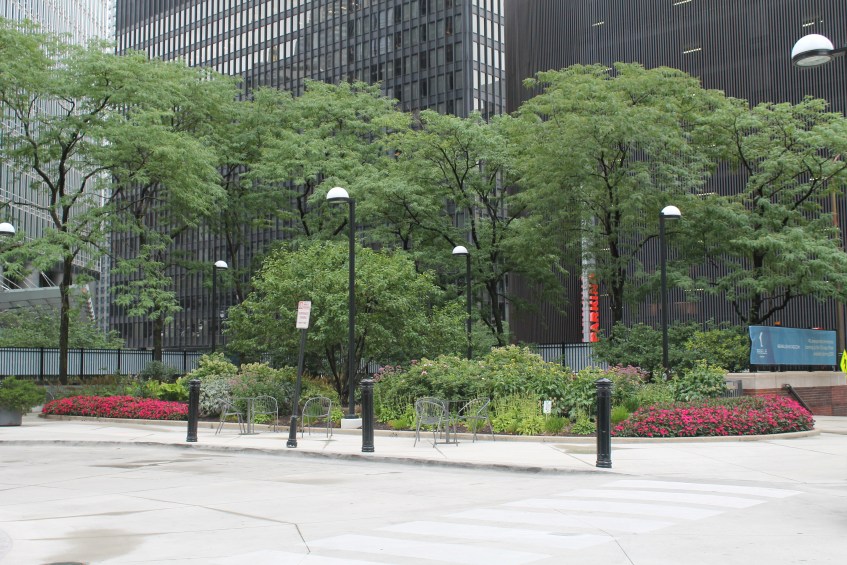 Renelle on the River