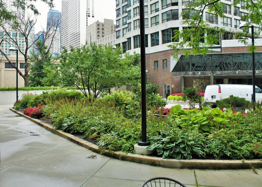 Renelle on the River