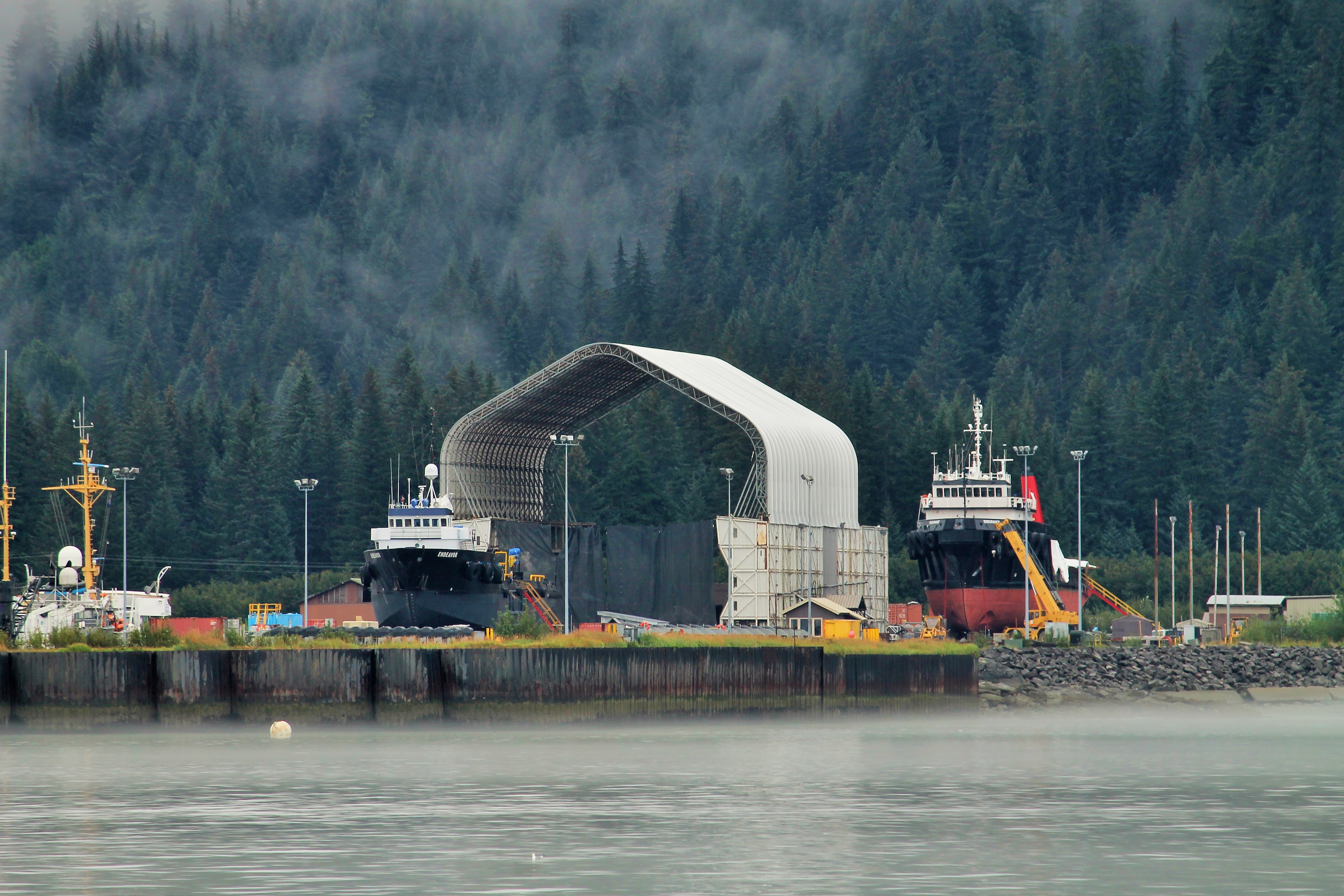 Resurrection Bay crane