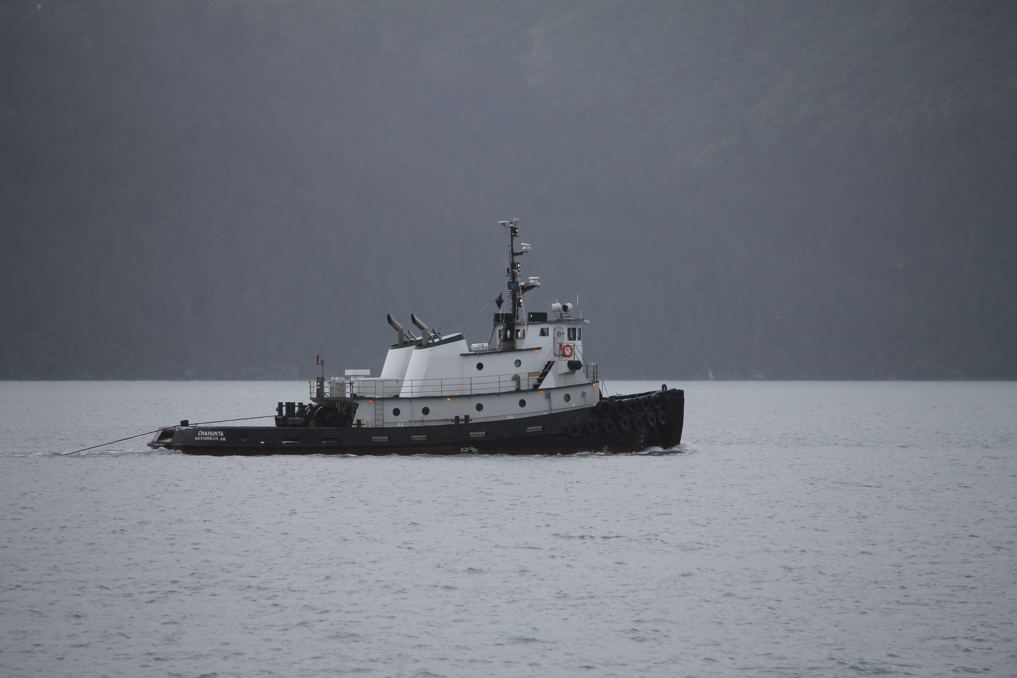 Resurrection Bay crane