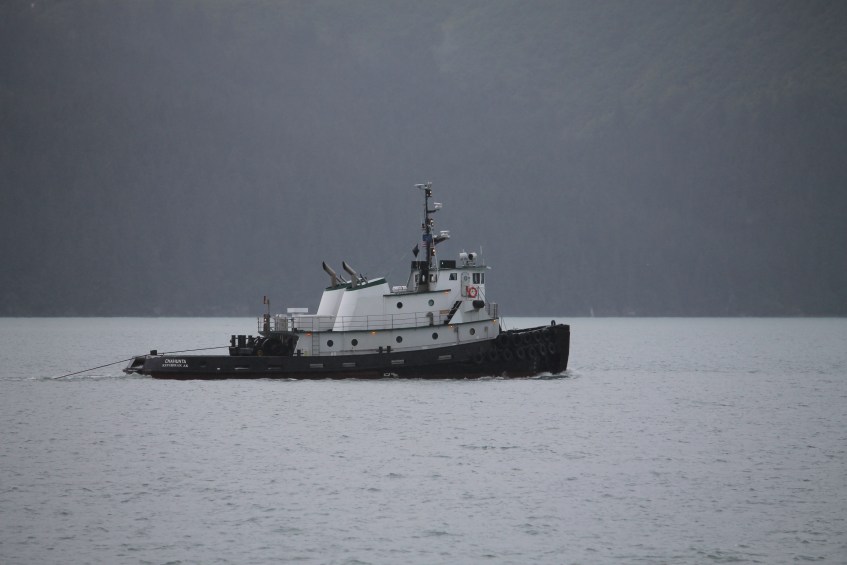 Resurrection Bay crane