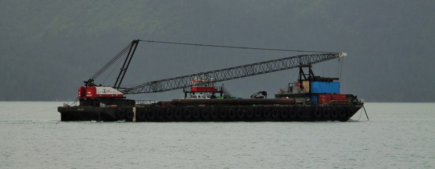 Resurrection Bay crane
