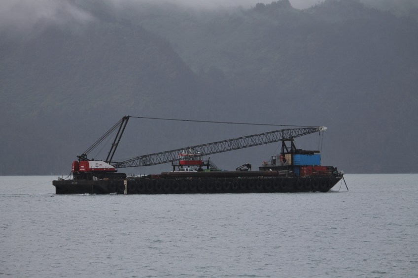 Resurrection Bay crane