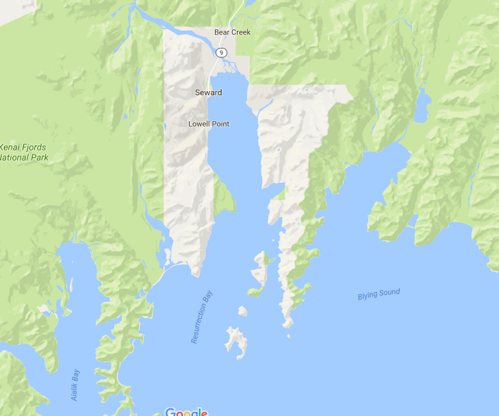 Resurrection bay crane