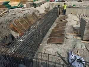 1001 West Chicago tower crane