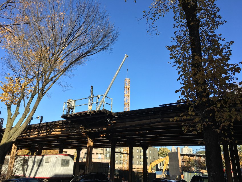 Elevate Lincoln Park tower crane
