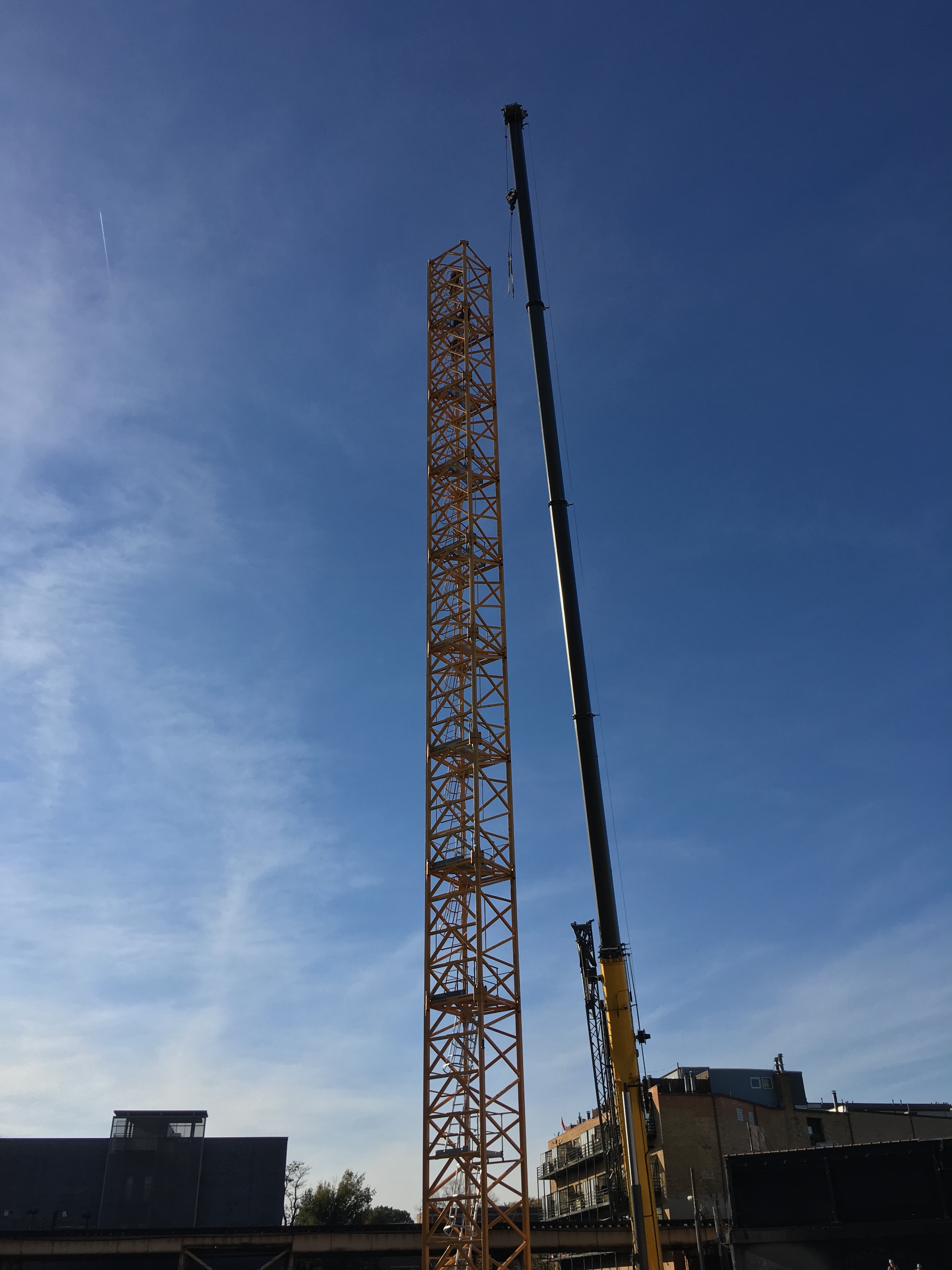 Elevate Lincoln Park tower crane