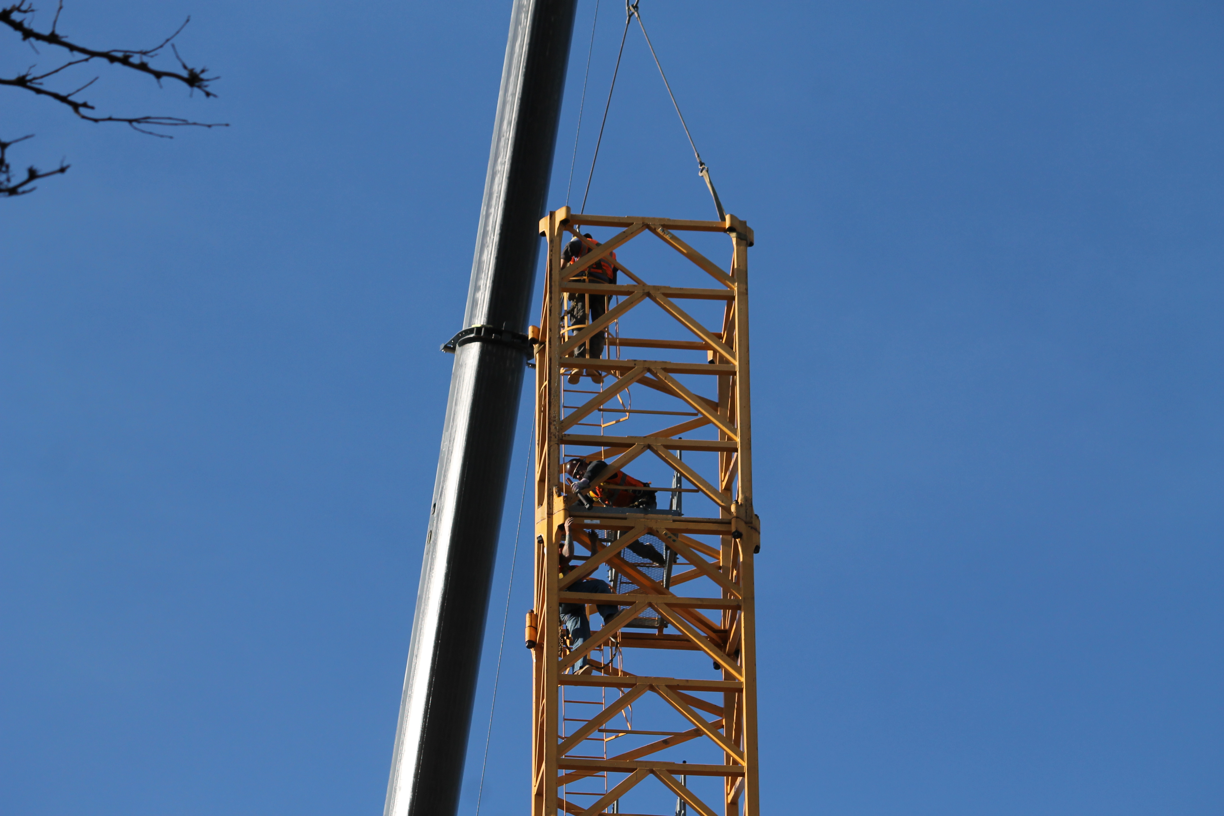 Elevate Lincoln Park tower crane