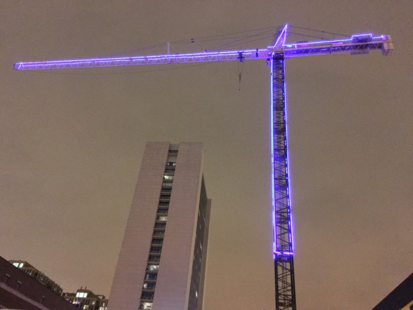 Atrium Village Christmas crane