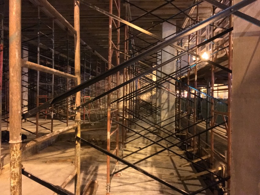 Atrium Village Christmas crane