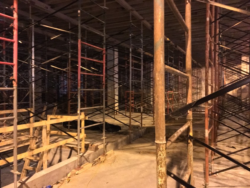 Atrium Village Christmas crane