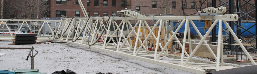 1411 South Michigan Tower crane