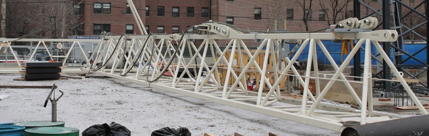 1411 South Michigan Tower crane