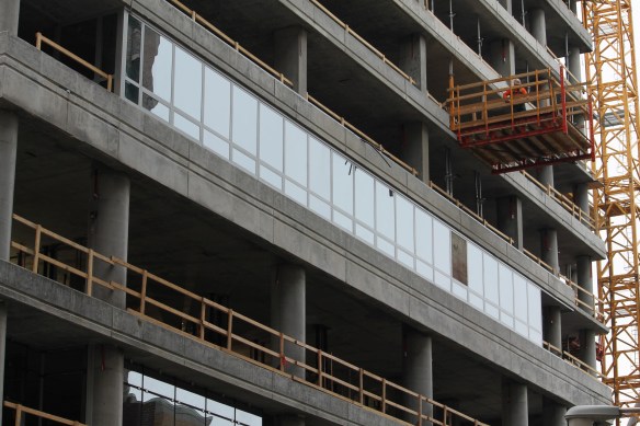 Alta Roosevelt glass