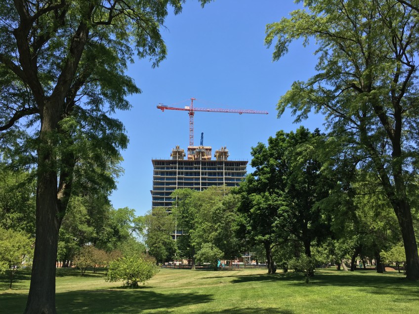 Solstice On The Park