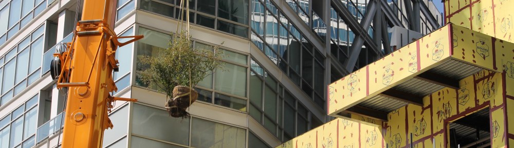 The Ronsley tree lift