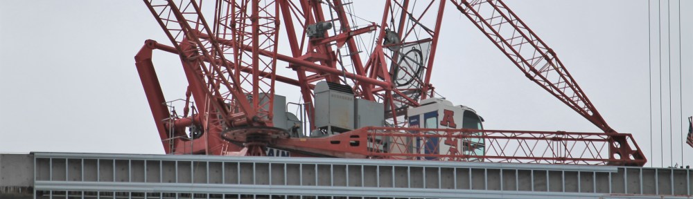 Simpson Querrey tower crane removal