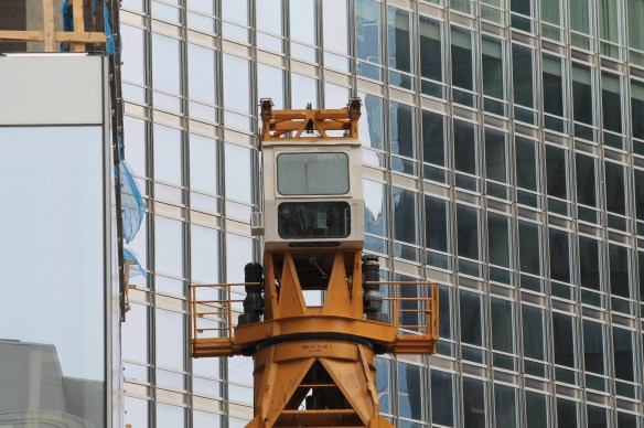 Renelle on the River crane removal