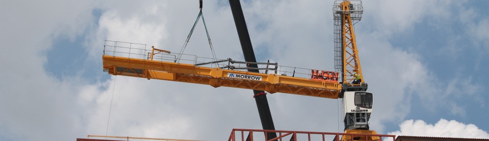 Hayden West Loop tower crane removal